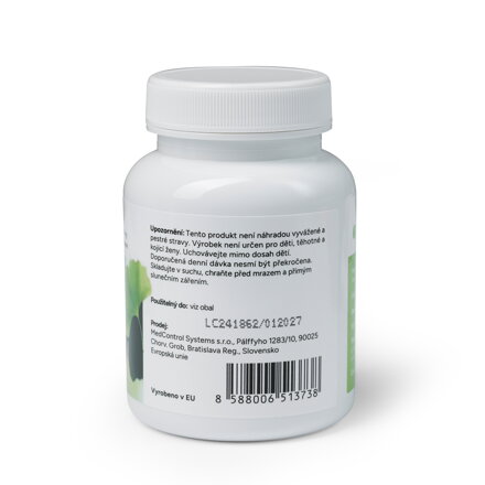Ginkgo Biloba EDOSO u lehké demence 240 mg, 60 tablet
